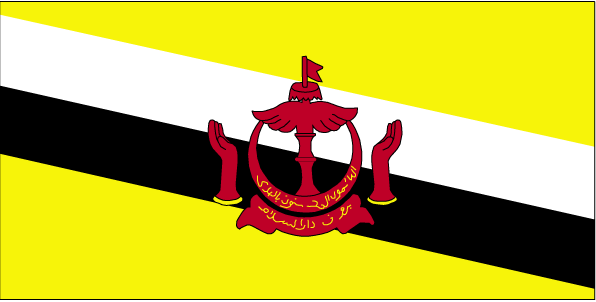 brunei-flag
